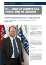 Interview with the Head of Mission in Perspective magazine, April 2009